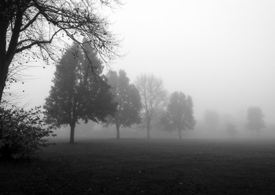 horfield common fog 6