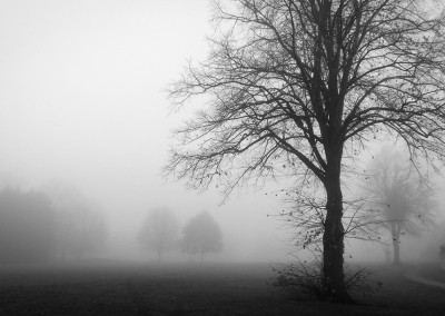 horfield common fog 5