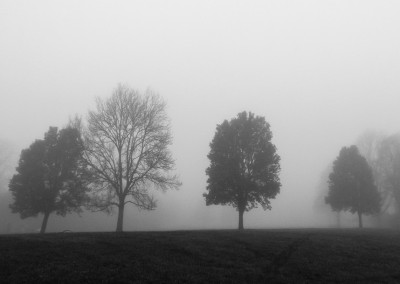 horfield common fog 7