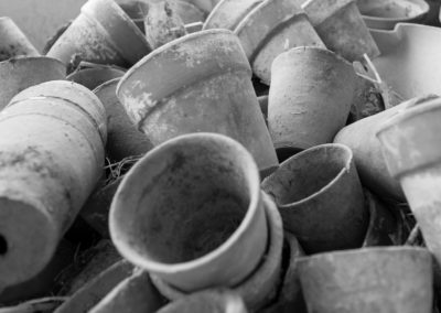Close up of a box of clay pots at the Malvern Show 2016