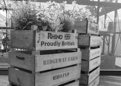 Herb plants on a stack of wooden crates at the Malvern Show 2016