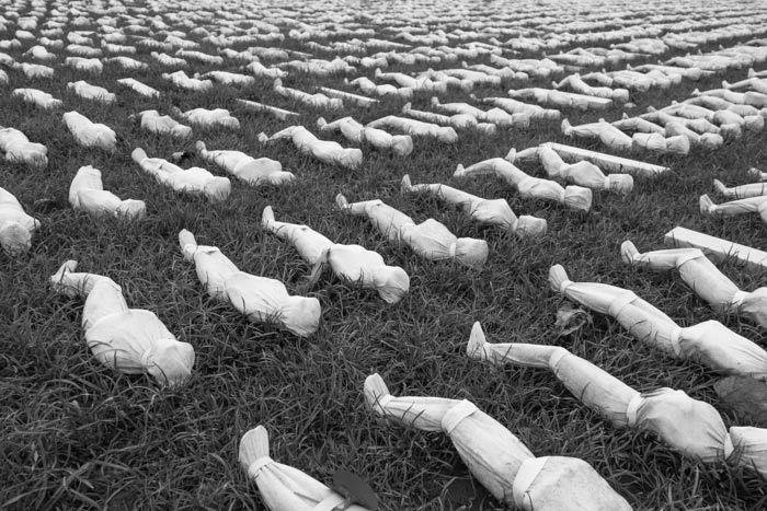 Lest we forget