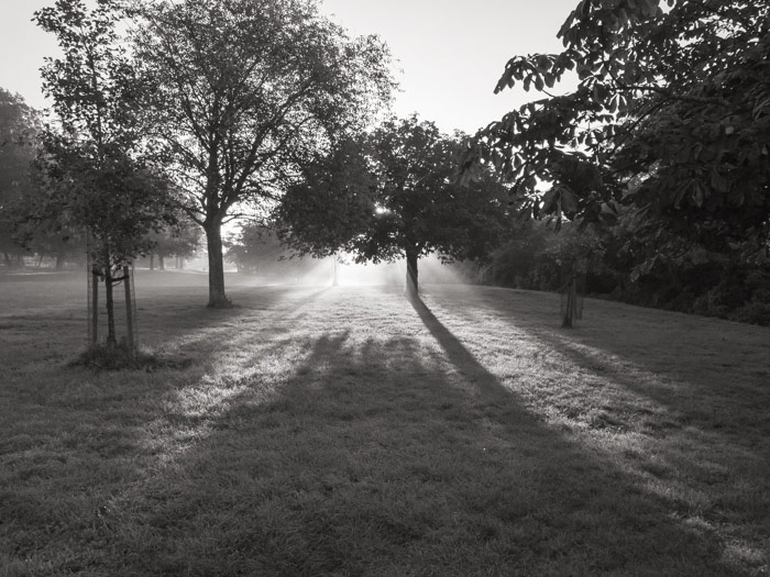 Autumn Mists