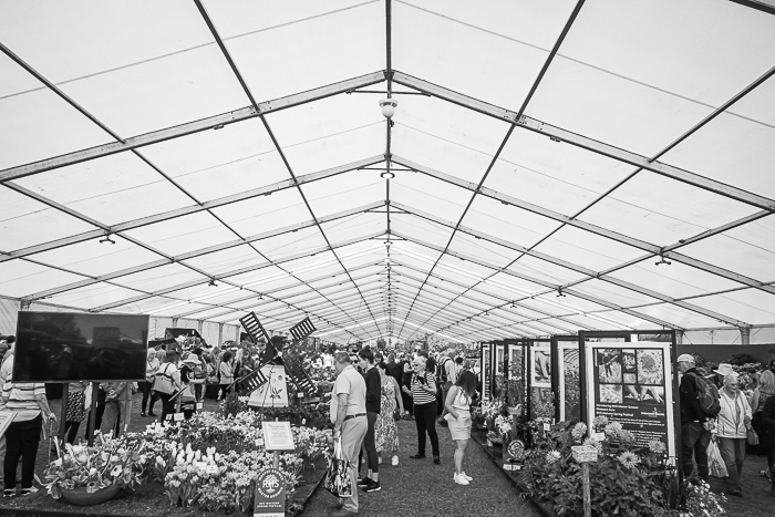 floral-marquee-malvern-spring-show-2022 A show garden at the Malvern spring show 2022